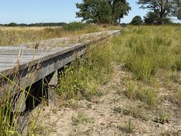 Natuur bij Geelbroek oogt kurkdroog, maar onder de grond stroomt het water door