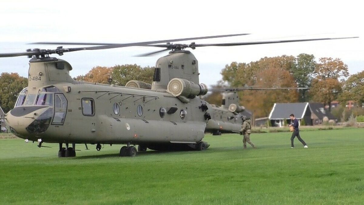 Imposante Chinooks landen in Drents weiland voor traktatie: 'Vast Beiler Kontjes'