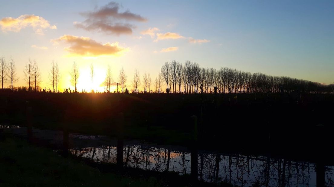 Kale bomen tegen een winterse ondergaande zon