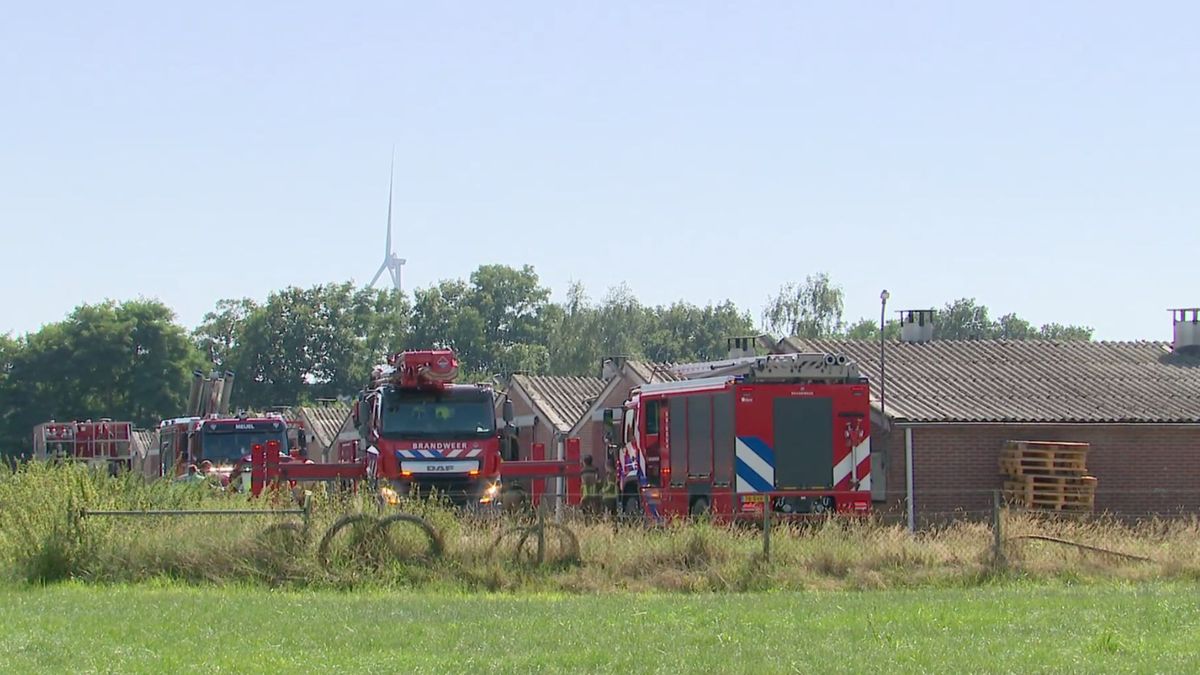 Dakbrand op kippenstal snel onder controle: drama voorkomen