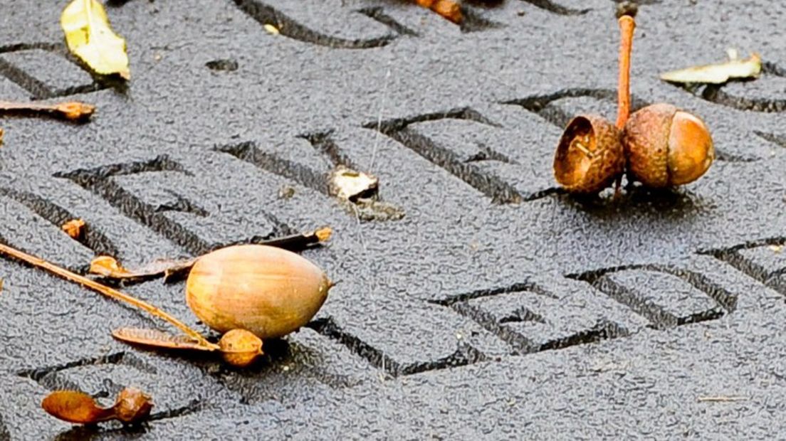 Twee verdachten van grafschennis zijn maandag aangehouden op begraafplaats De Stille Hof, Hoogezand.