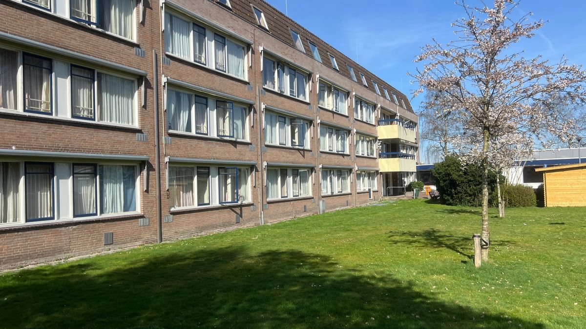 Musselkanaal omarmt het asielzoekerscentrum al decennia, wat is het geheim?