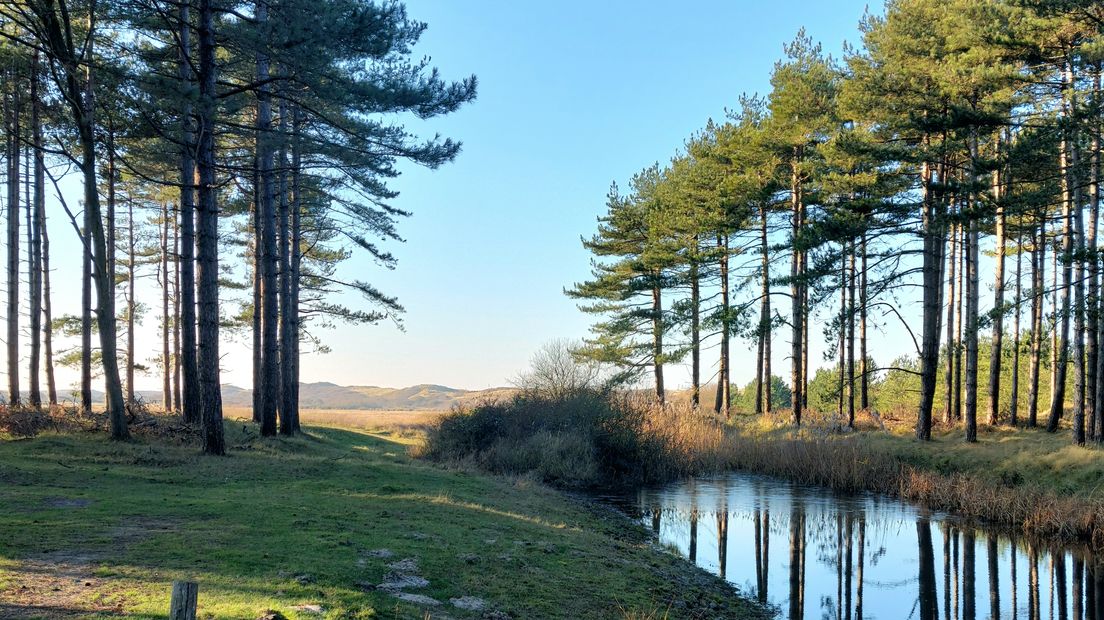 Of naar natuurgebieden zoals de Oranjezon