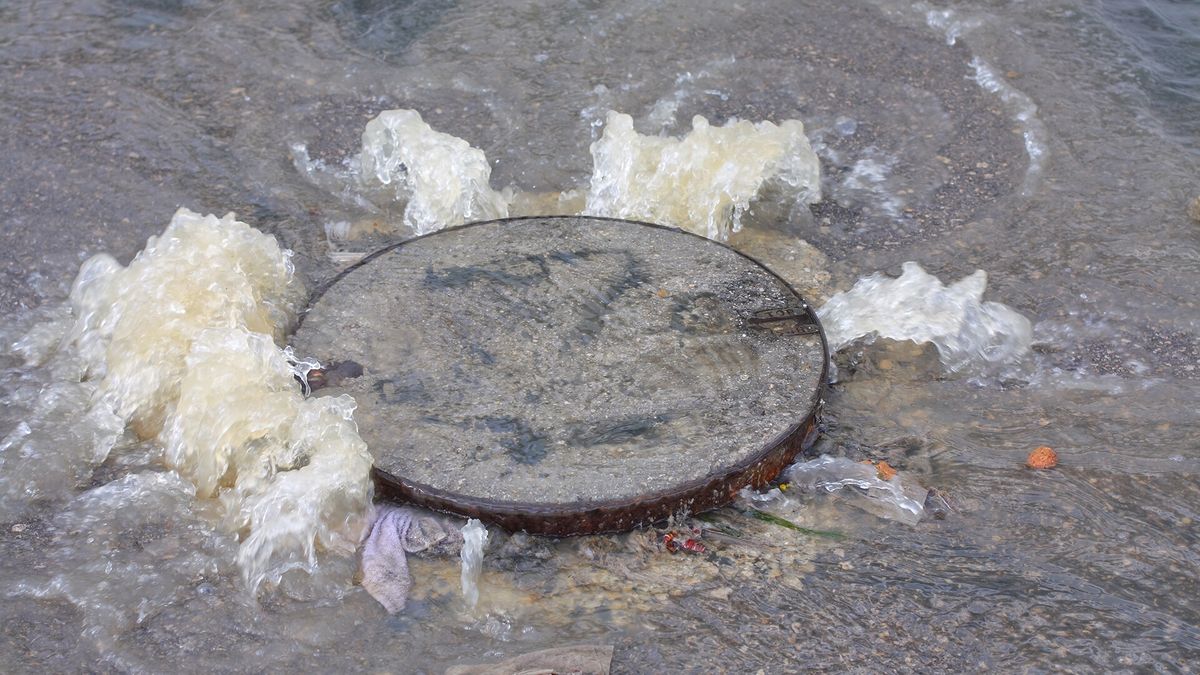 Minder asfalt en mear beammen; Fryske bedriuweterreinen moatte harren tariede op wetteroerlêst