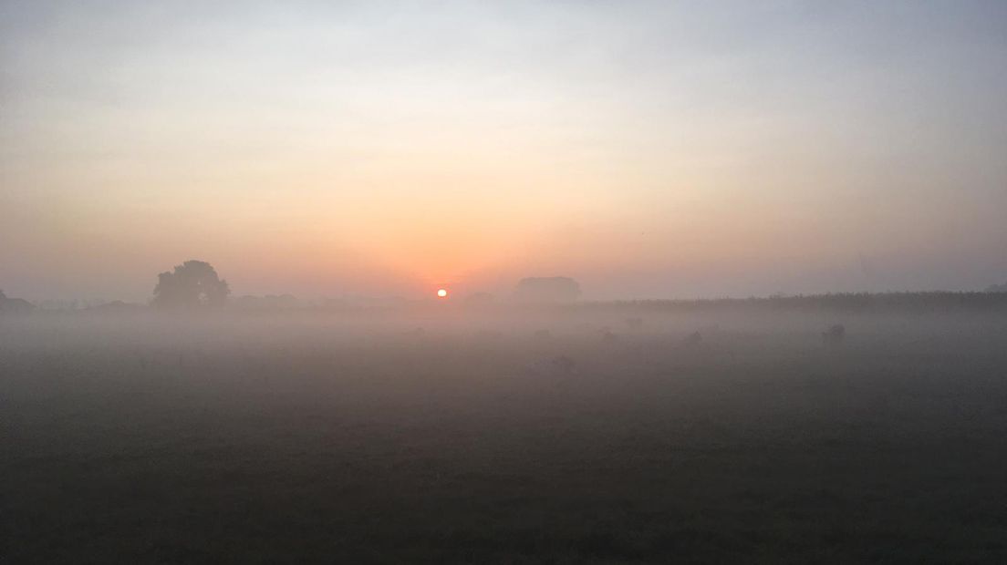 De zon verschijnt op misschien wel de warmste dag ooit gemeten.