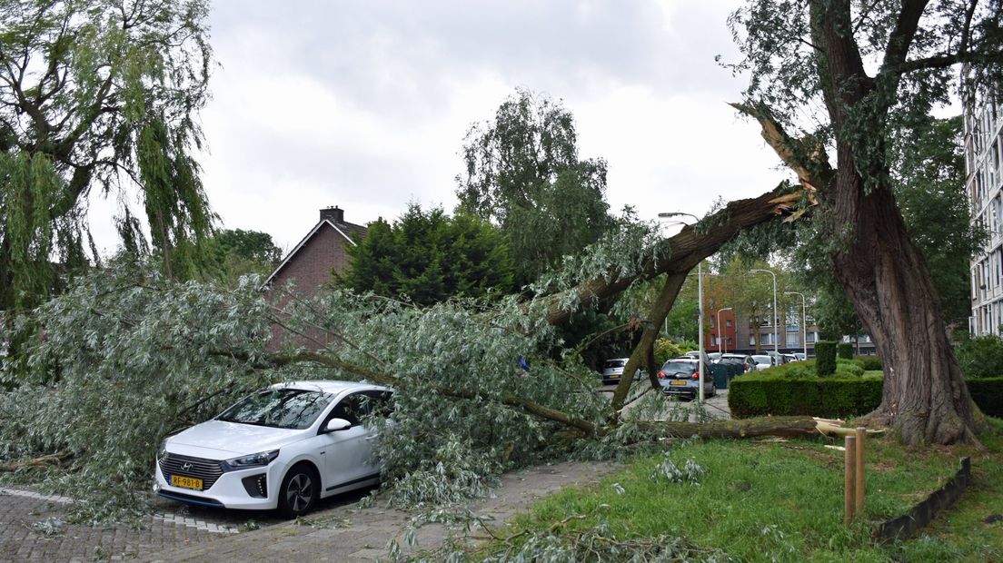 Een halve boom breekt af en valt op auto's in Den Haag 