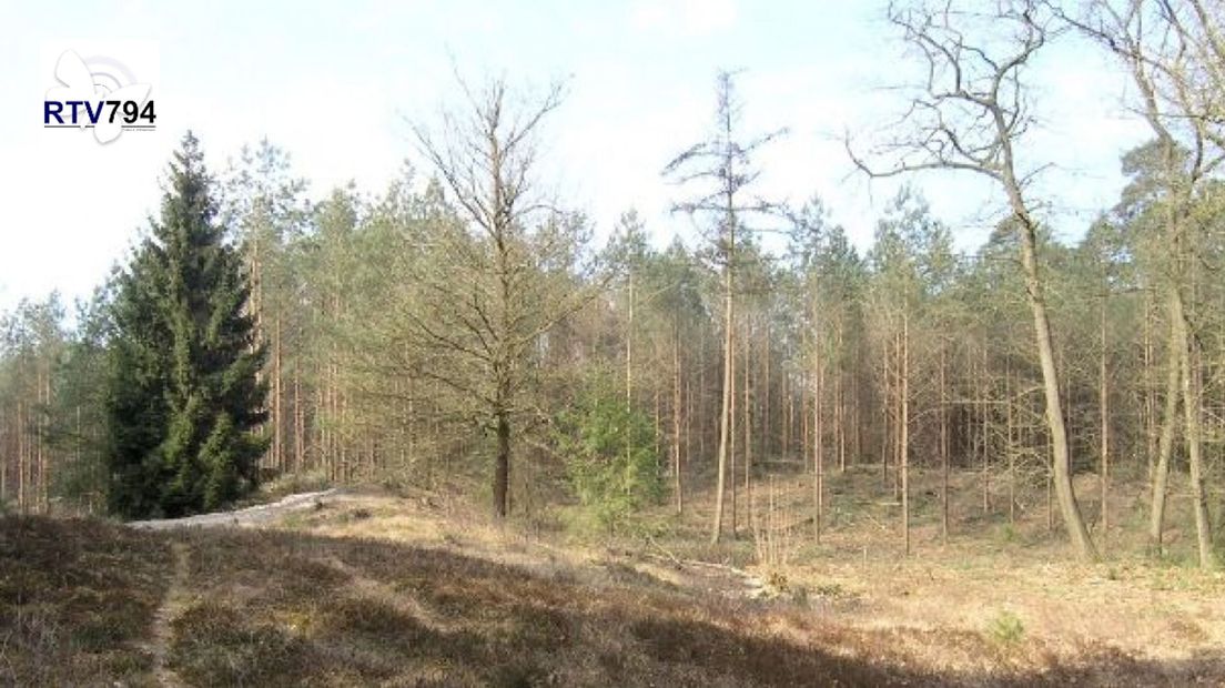 Heideterrein op landgoed De Polberg Wapenveld.