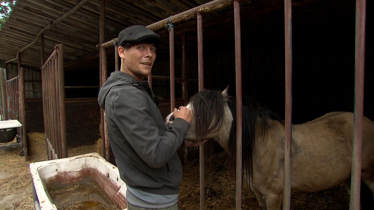Danny (30) raakte op zijn twaalfde dakloos, maar toen kreeg hij werk op een boerderij: 'Dat is mijn