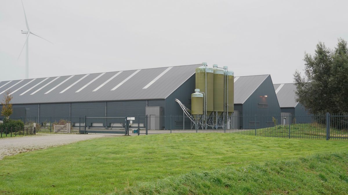 Landelijke ophokplicht na uitbraak vogelgriep in Gasselternijveenschemond