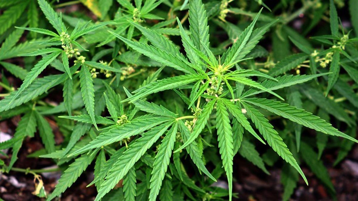 Gemeente gooit drugspand op slot