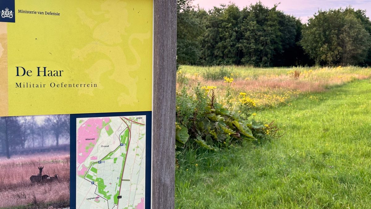 Zorgen over nieuwe uitbreidingswet Defensie: 'Geeft beetje carte blanche'