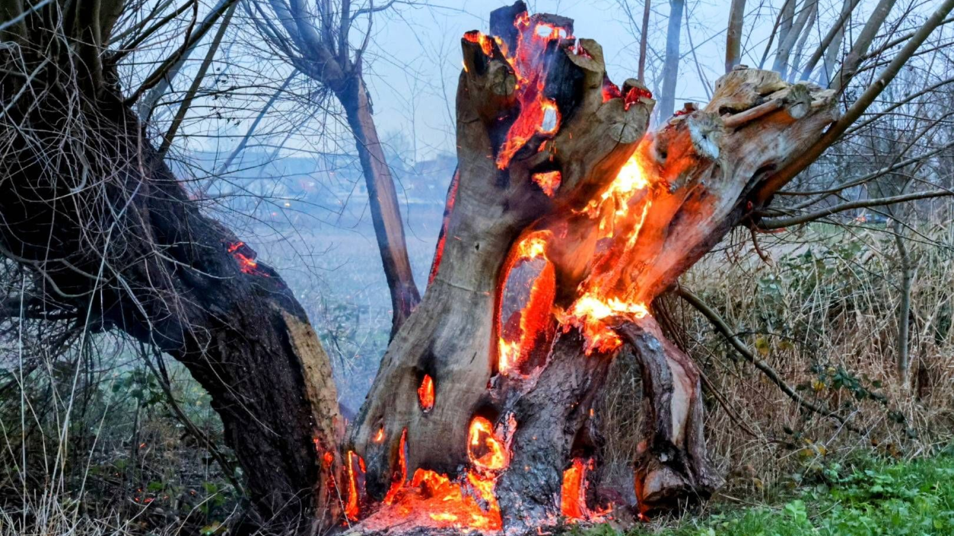 Jongen onwel in sporthal • boom in de brand