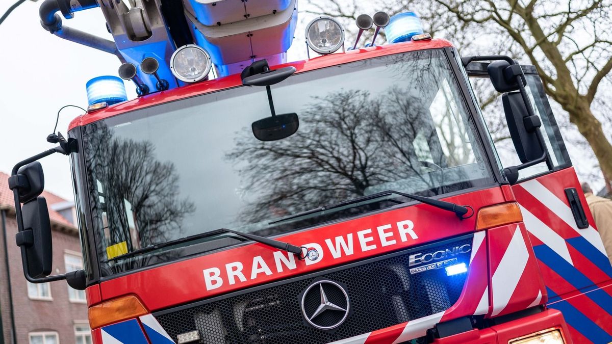 Veulen en paard dood door brand in kliniek in Oldeholtpade, medewerkers aangedaan