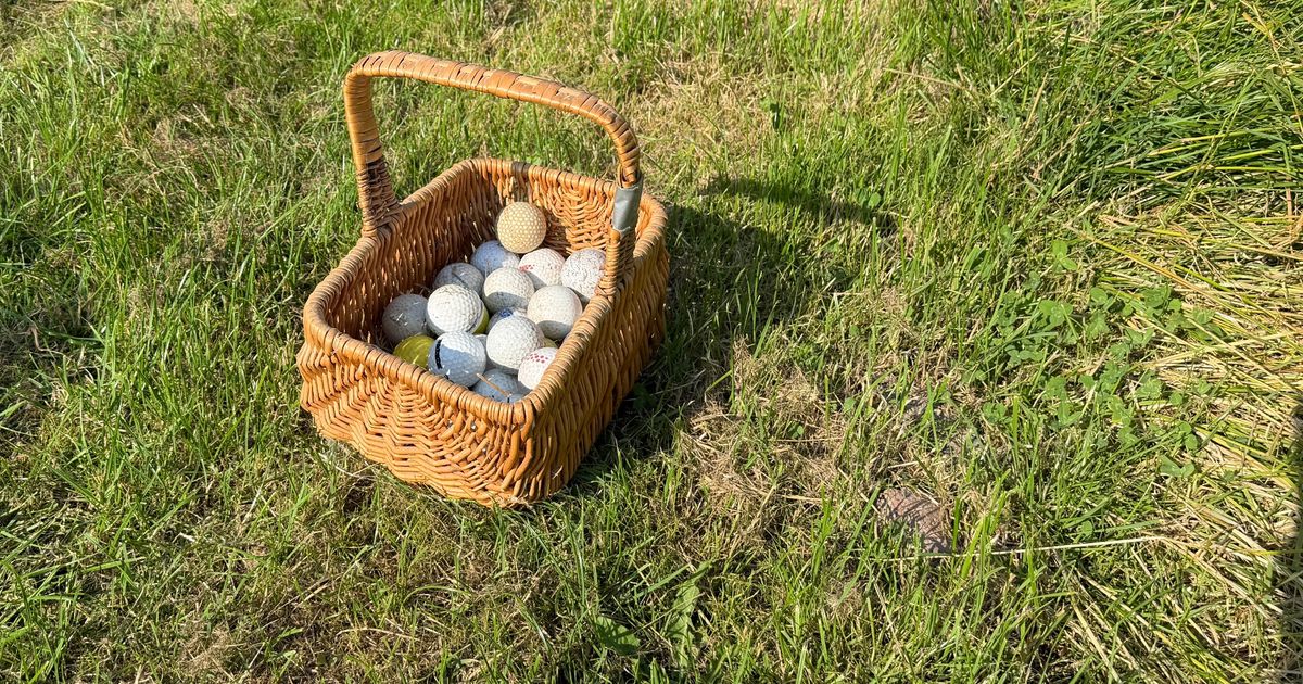 Mysterie in Leermens: waar komen al die golfballen vandaan?