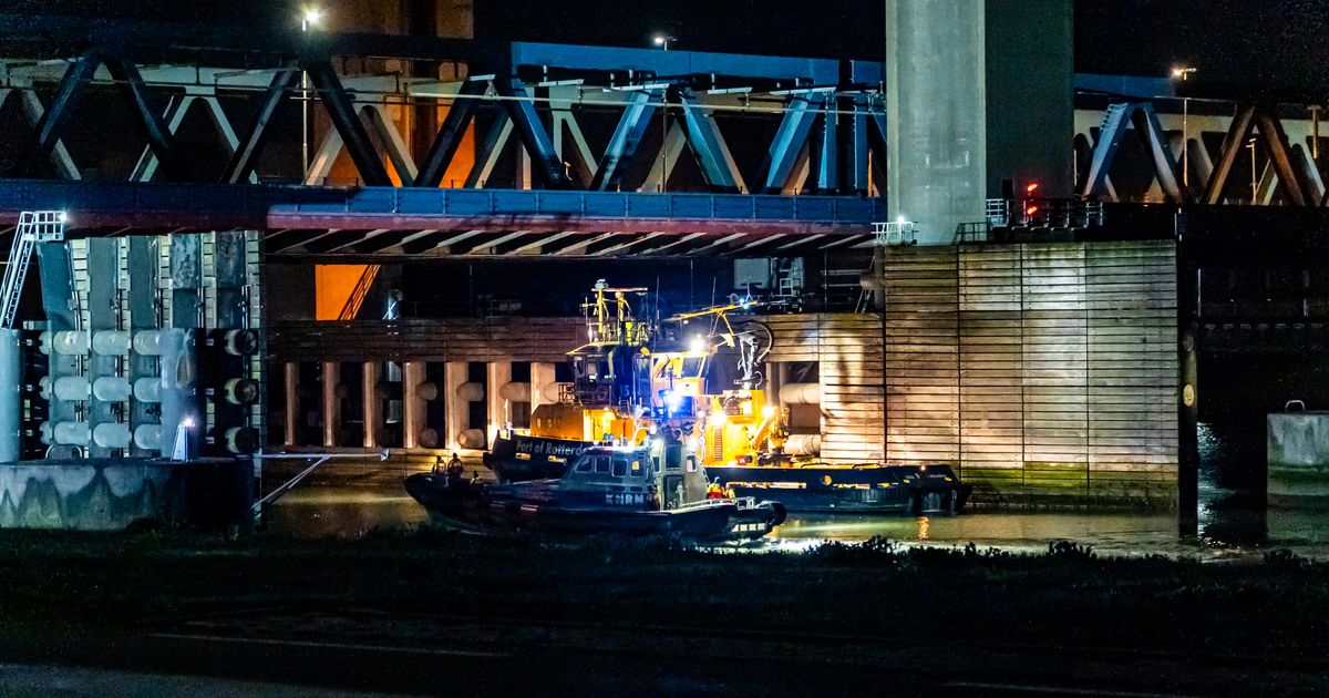 Colleagues Mourn Young Women in Fatal Bridge Accident