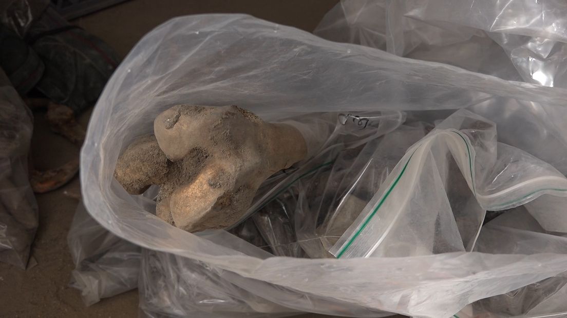 Een bijzondere vondst in de binnenstad van Arnhem. Bij graafwerkzaamheden pal naast de Eusebiuskerk zijn 45 skeletten gevonden.