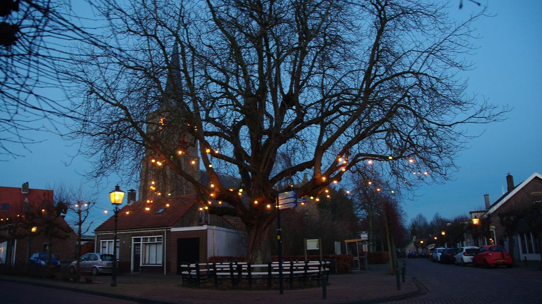 Paardenkastanje Oudelande