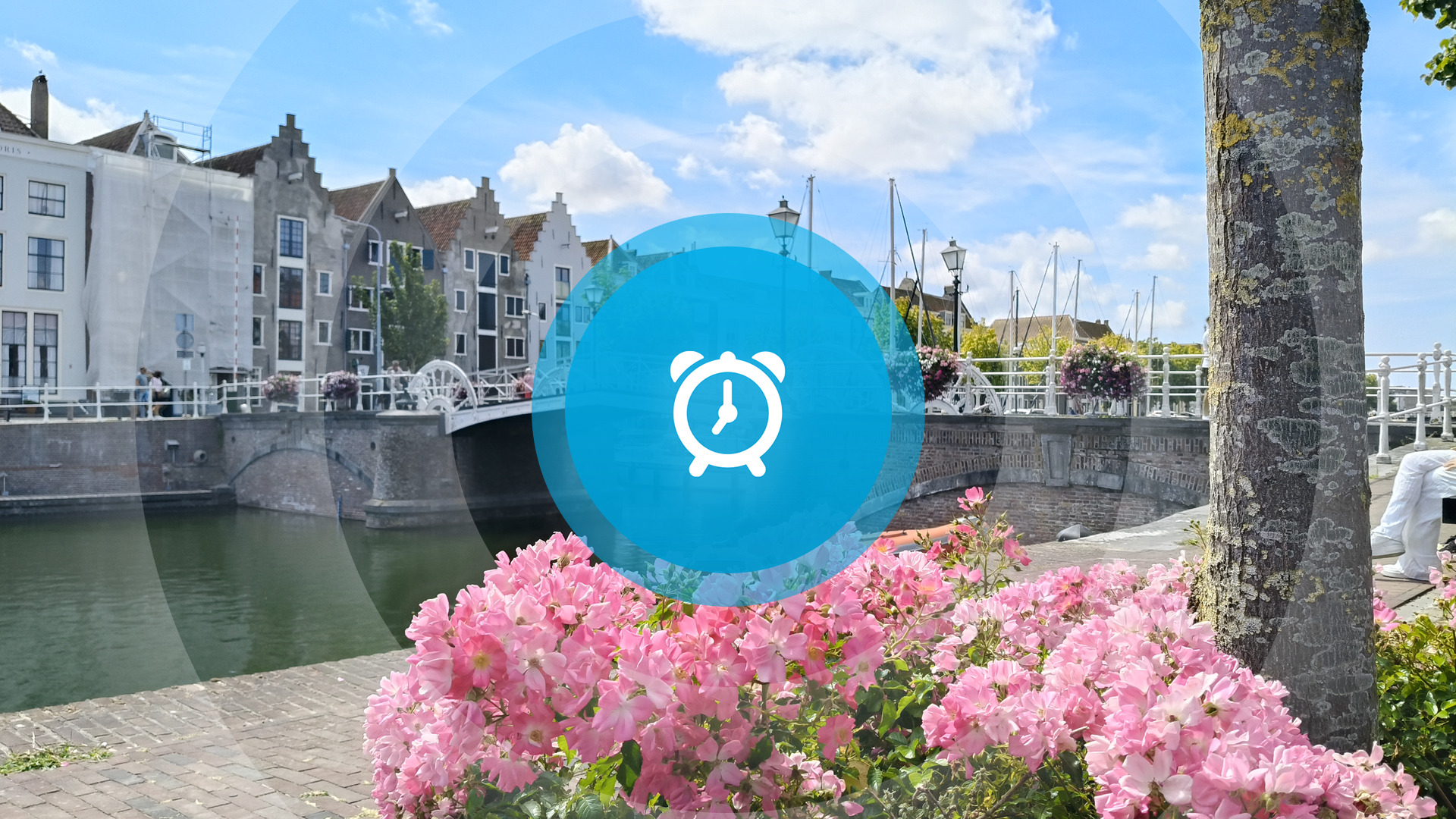 Goedemorgen! Zeeuwse amazones op WK Dressuur, mobiel politiebureau in Middelburg en hijskraan op Oosterscheldekering