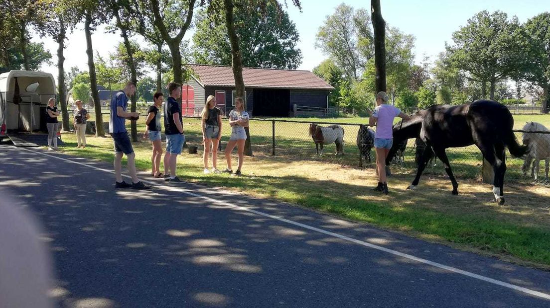 Het paard werd op tijd gered door de eigenaar en omstanders