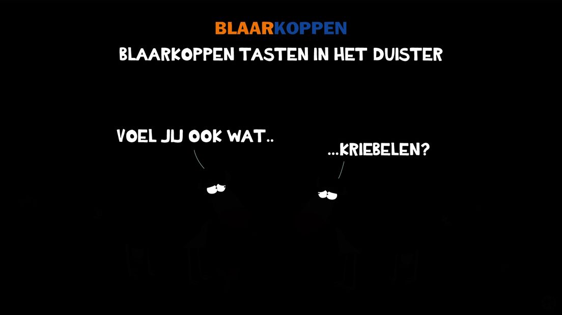 De Blaarkoppen