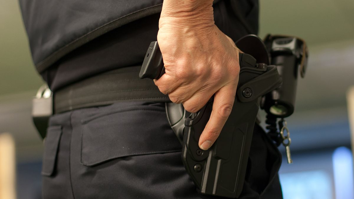 Politie lost waarschuwingsschoten in Exloo bij aanhouding inbrekers
