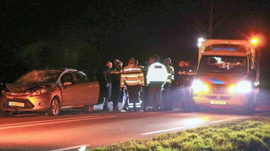 Voetganger en hond overleden na aanrijding | Auto belandt in het water. Voetganger en hond overleden na aanrijding | Auto belandt in het water.
