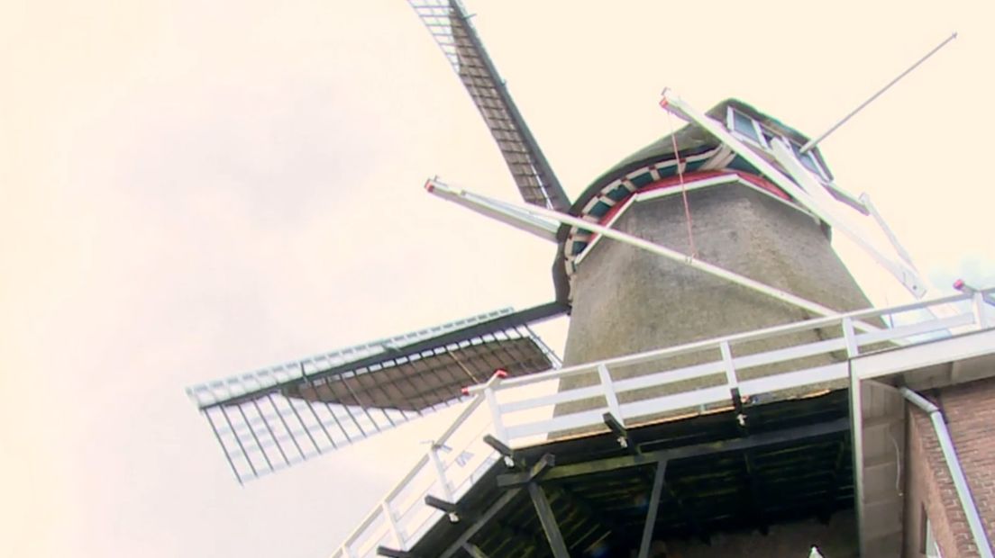 Molen De Vlijt in Meppel zoekt geld om aan zijn financiële verplichtingen te voldoen (Rechten: RTV Drenthe)