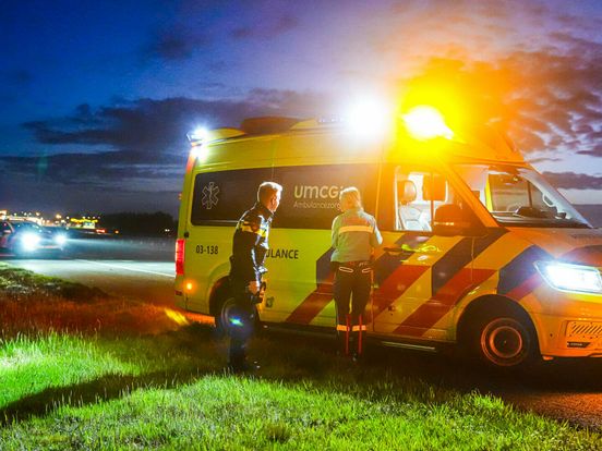 Automobilist gewond bij botsing met ree, dier overleeft klap niet