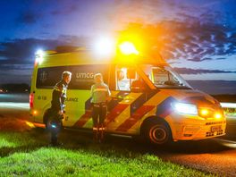 Automobilist gewond bij botsing met ree, dier overleeft klap niet