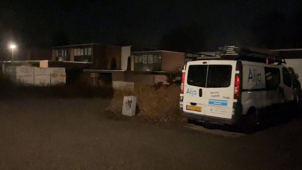 Ree schiet in de stress en wandelt door Emmerhout