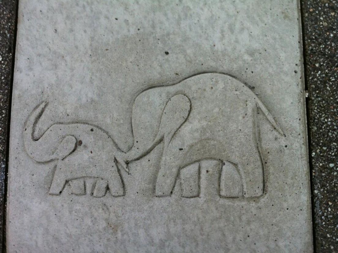 olifantenpad