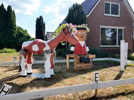 Nieuw-Schoonebekers strijden om mooiste straat tijdens Volksfeest