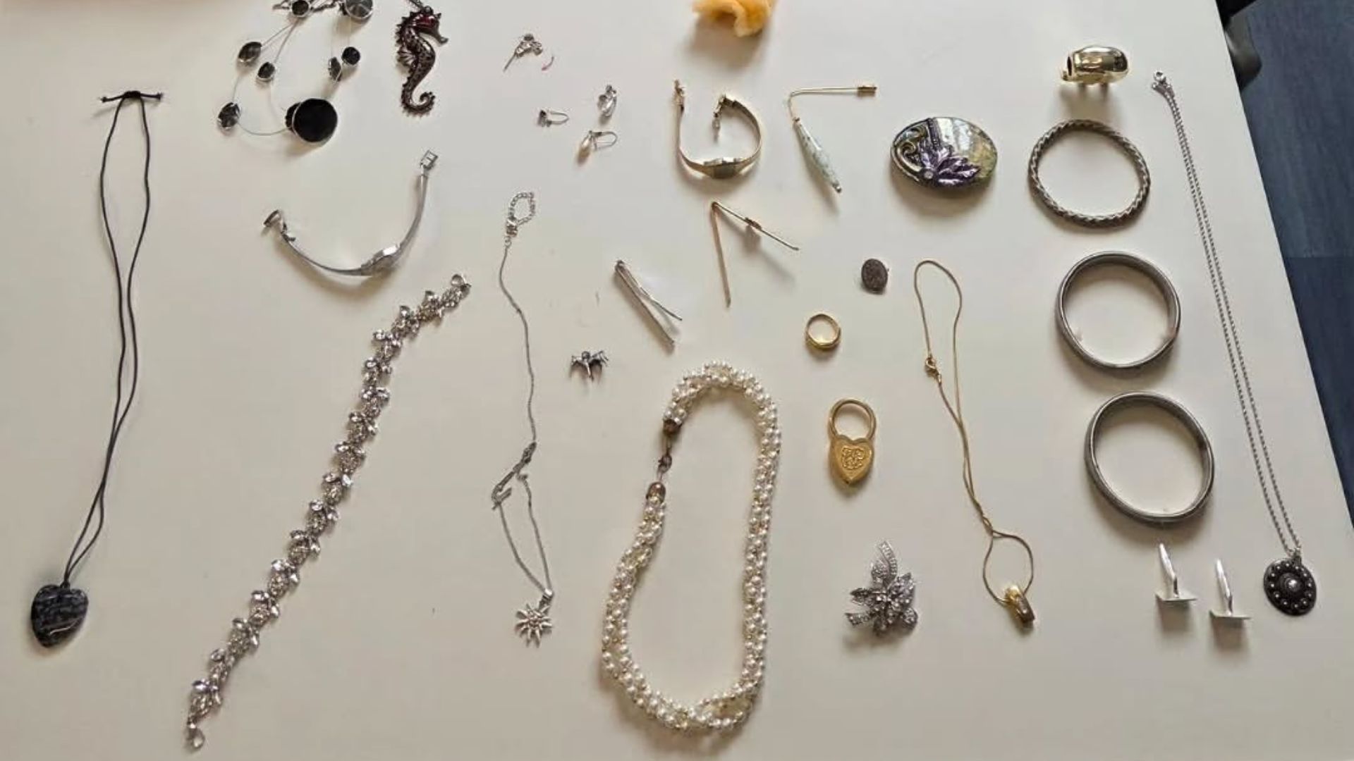Tassen vol met sieraden in bosjes gevonden, politie zoekt eigenaar