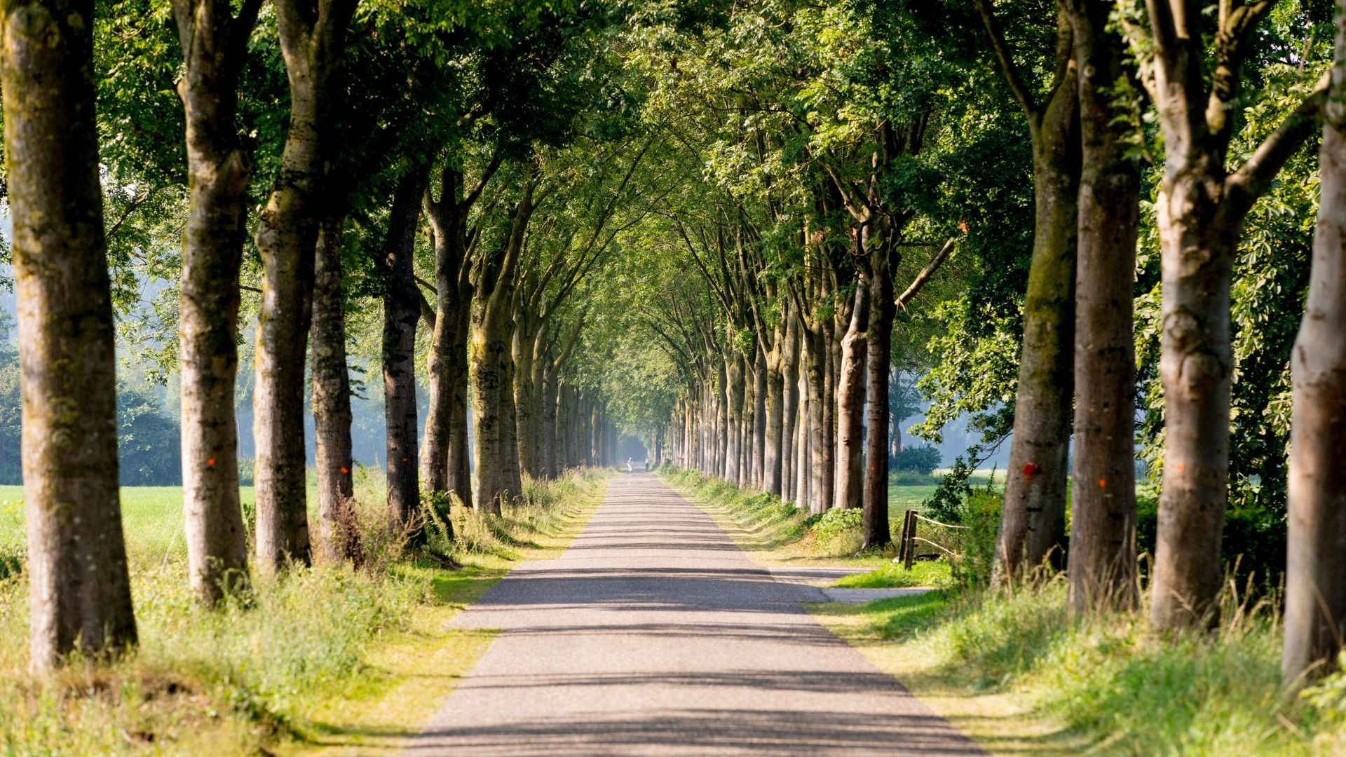 Achterhoek presenteert gezamenlijk toekomstbeeld voor ruimtegebruik.