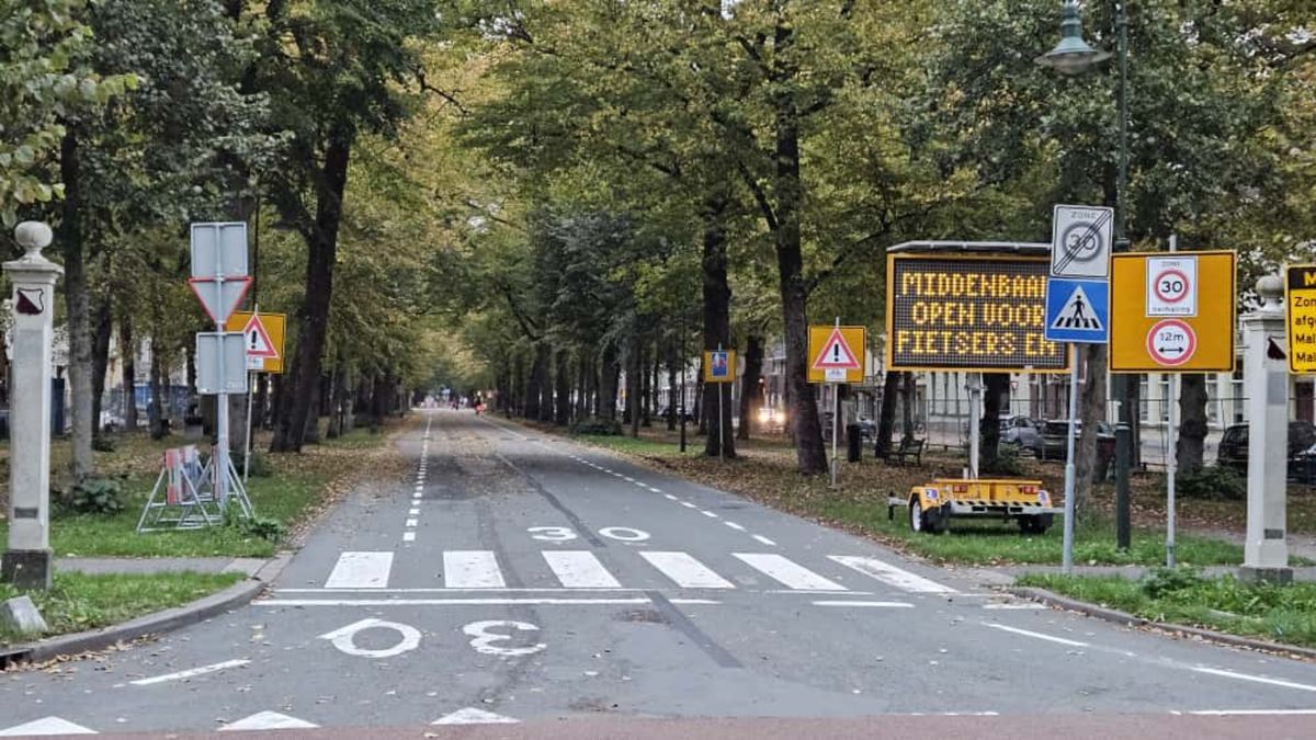 Maliebaan in Utrecht weer open na herinrichting: auto's niet meer welkom op middenbaan