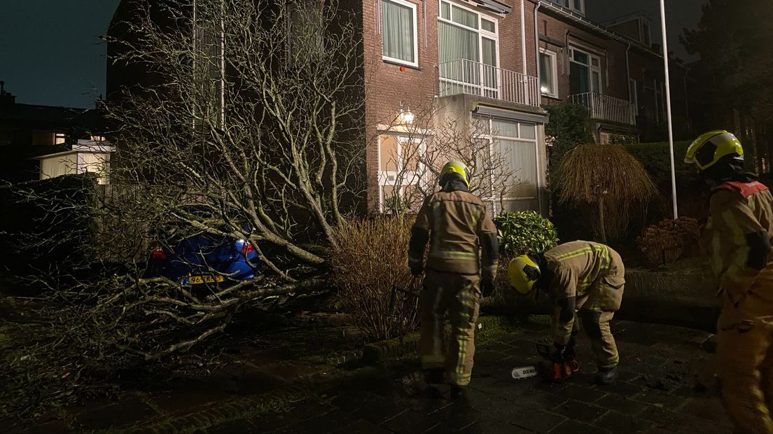 Aan het Han Stijkelplein in Den Haag belandde een boom op een geparkeerde auto