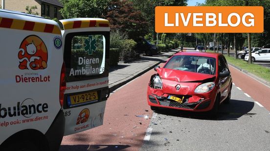 vestiging Albert Heijn ontruimd • dierenambulance betrokken bij ongeval. vestiging Albert Heijn ontruimd • dierenambulance betrokken bij ongeval.