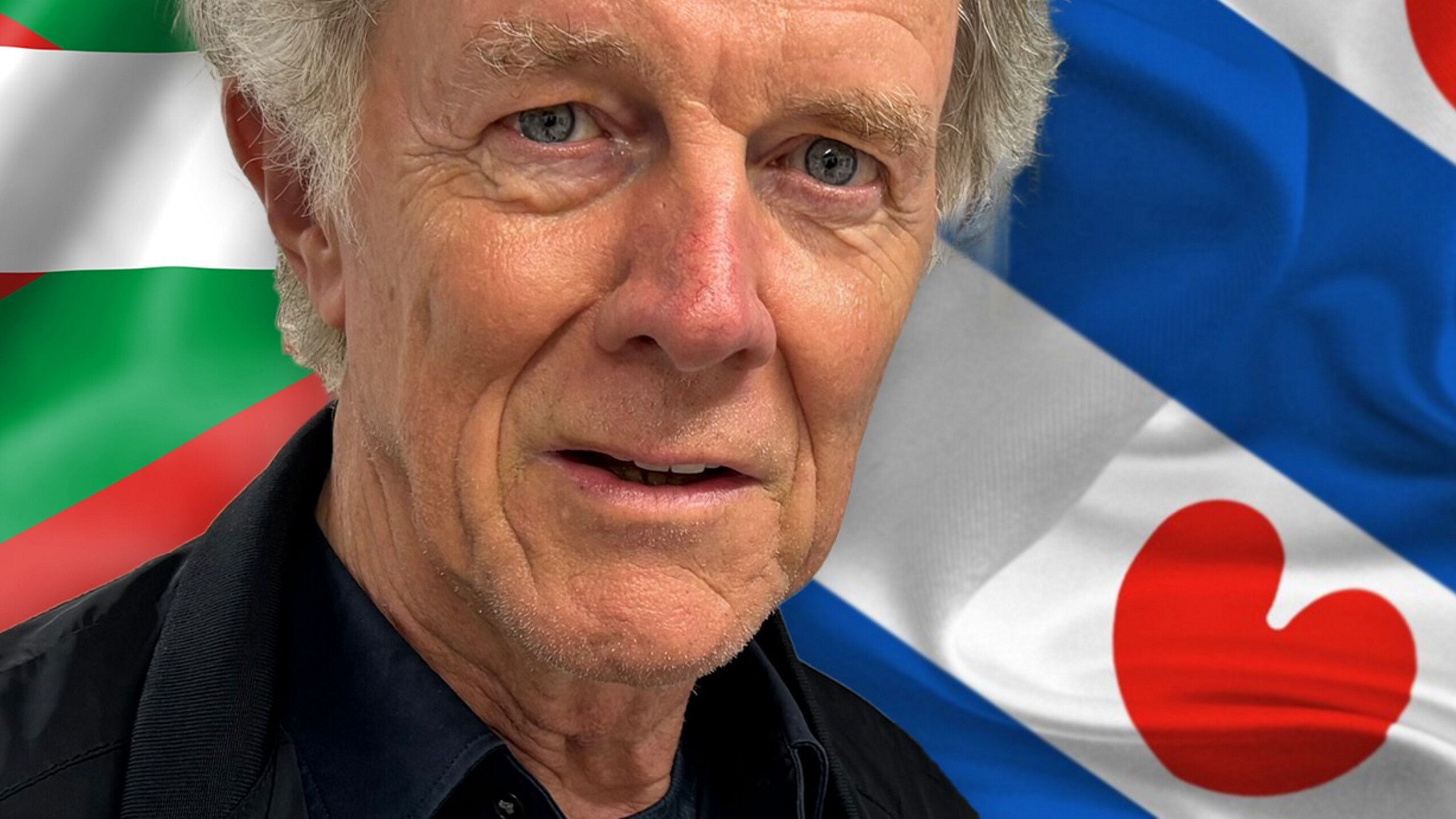 Fryslân kin in foarbyld nimme oan Baskelân: "Dêr wurdt de taal echt droegen troch it folk"