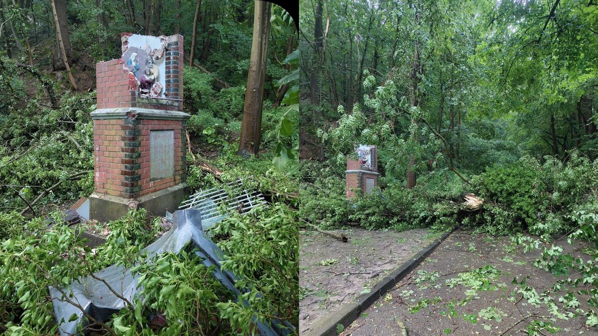 Boom valt op Sittards kappelletje tijdens storm: 200 jaar oude voetval beschadigd