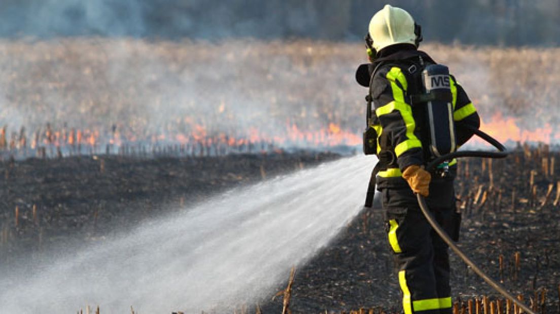Deel maïsakker door brand verwoest