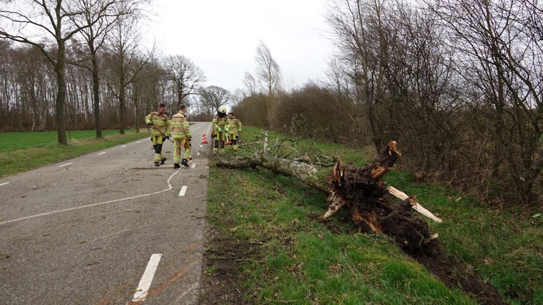 Aan de Westeingerdijk in Radewijk waaide een boom op de weg