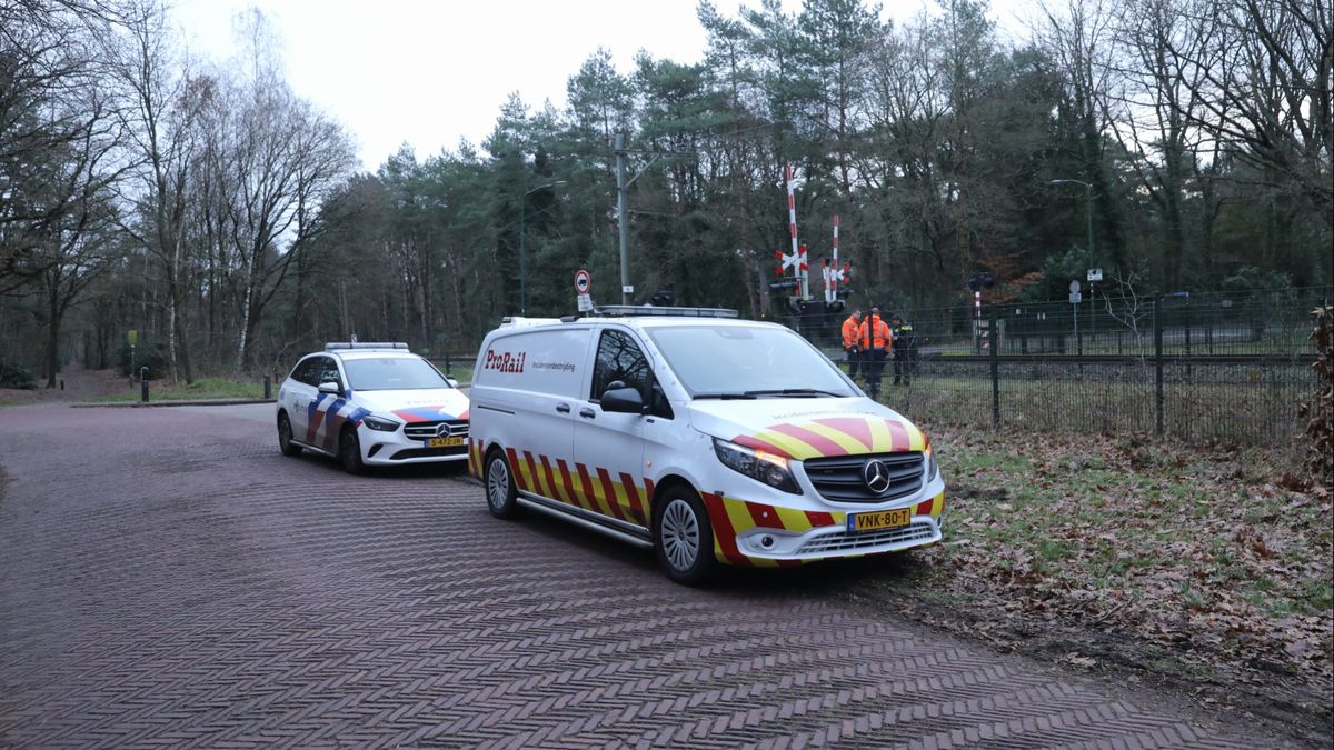 Hond aangereden tussen Den Dolder en Soest, treinen rijden weer
