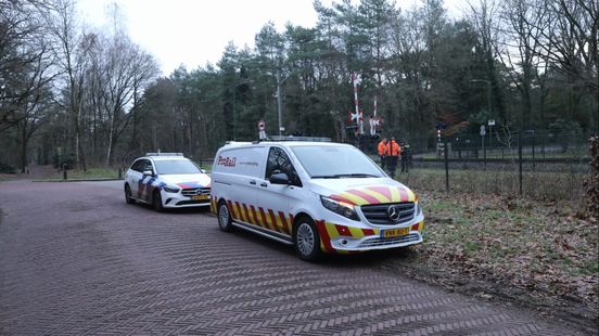 Hond aangereden tussen Den Dolder en Soest, treinen rijden weer. Hond aangereden tussen Den Dolder en Soest, treinen rijden weer.