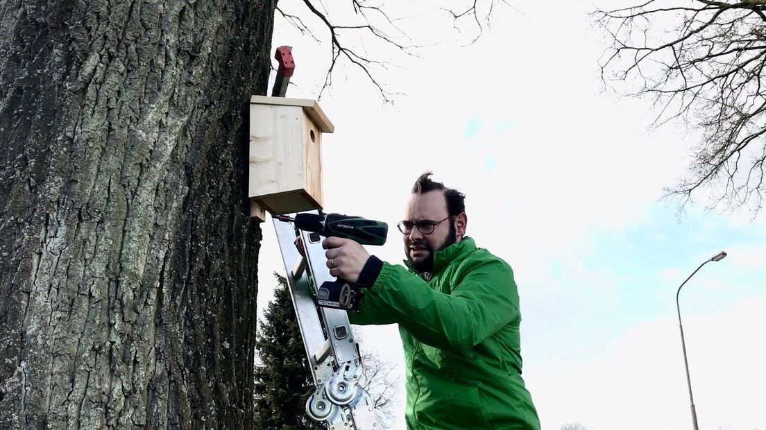 Bjorn Hanssen van GroenLinks hangt het eerste nestkastje in Valthe op.