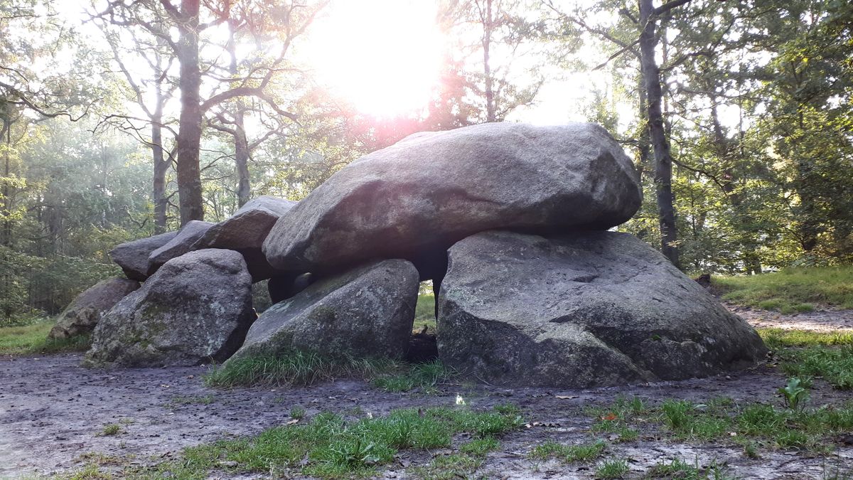 Hunebedden, Drenthes trots; hoe werden ze gebouwd?