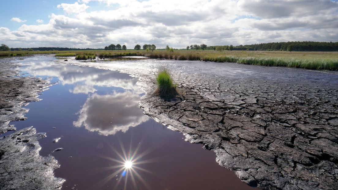 Wordt het weer zo droog als vorig jaar? (Rechten: archief RTV Drenthe/Arjan Pat)