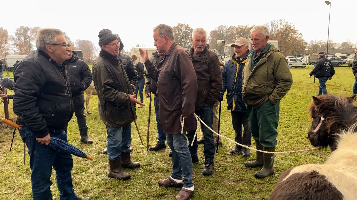 Paardenmarkt Lottum krimpt verder, maar traditie blijft publiek trekken