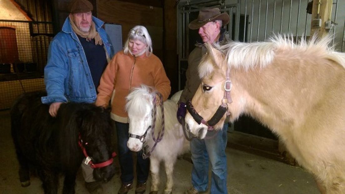 Extra hulp voor verwaarloosde paarden