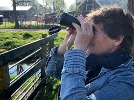 Zo zet Karien (64) Westbroek op de kaart als hét ooievaarsdorp van Utrecht