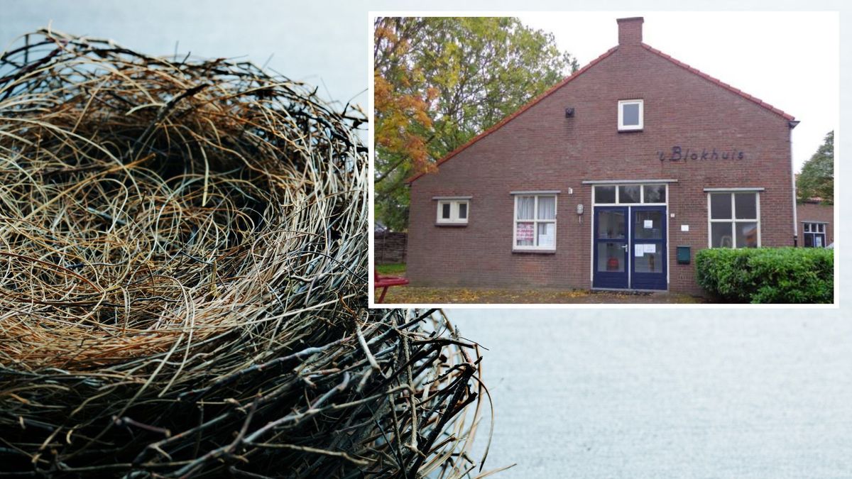 Vogelnestje vertraagt sloop dorpshuis: 'Een broedende vogel mag je niet verstoren'